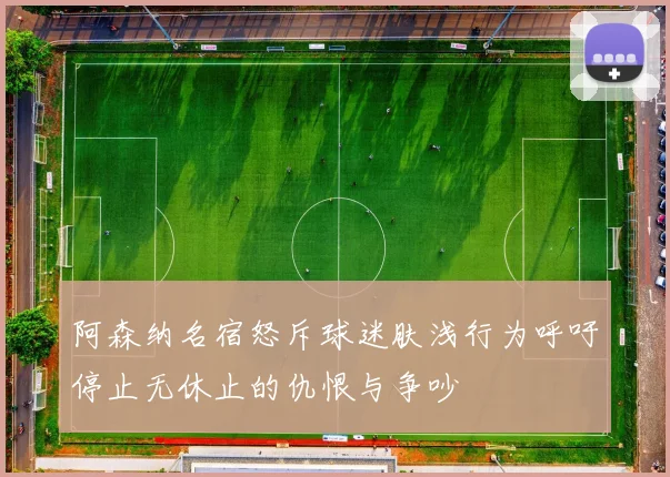 阿森纳名宿怒斥球迷肤浅行为呼吁停止无休止的仇恨与争吵