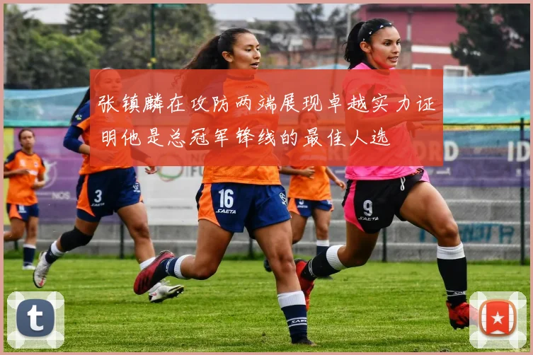 张镇麟在攻防两端展现卓越实力证明他是总冠军锋线的最佳人选
